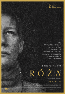 roza-plakat